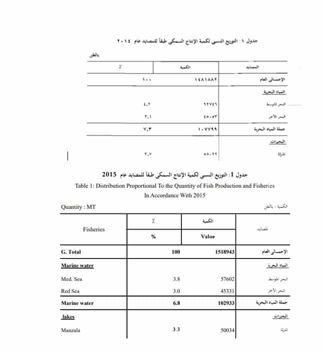 تصريحات رئيس الثروة السمكية عن إنتاج بحيرة المنزلة بعد تطويرها "مضللة"