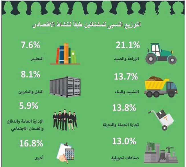 قطاع الزراعة لا يمثل 25% من القوى العاملة.. كيف كشفنا عدم دقة أرقام "القصير"؟