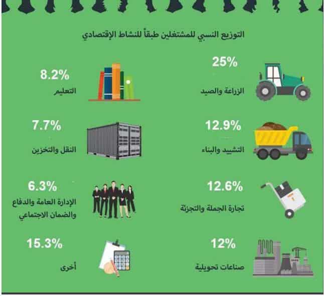 قطاع الزراعة لا يمثل 25% من القوى العاملة.. كيف كشفنا عدم دقة أرقام "القصير"؟