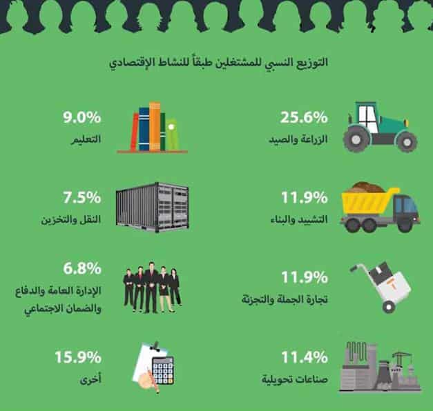 قطاع الزراعة لا يمثل 25% من القوى العاملة.. كيف كشفنا عدم دقة أرقام "القصير"؟