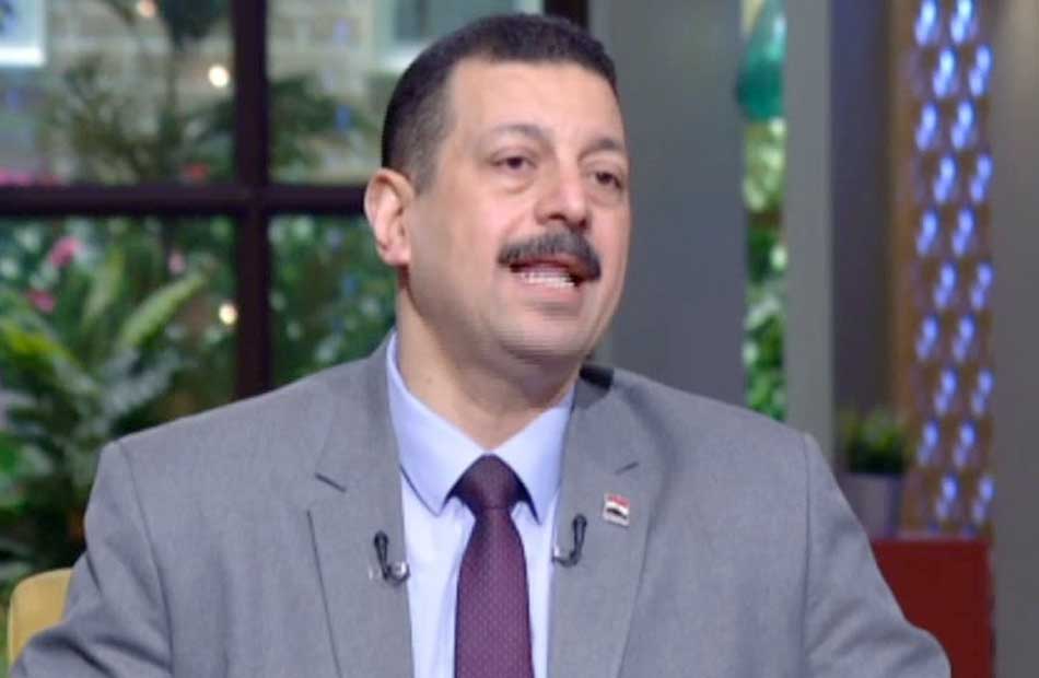 الدكتور أيمن حمزة المتحدث باسم وزارة الكهرباء والطاقة المتجددة