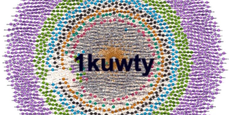 تصريحات "مُضللة" لمُتحدث الزراعة حول زيادة الأراضي المُنزرعة بالقمح.. تعرف