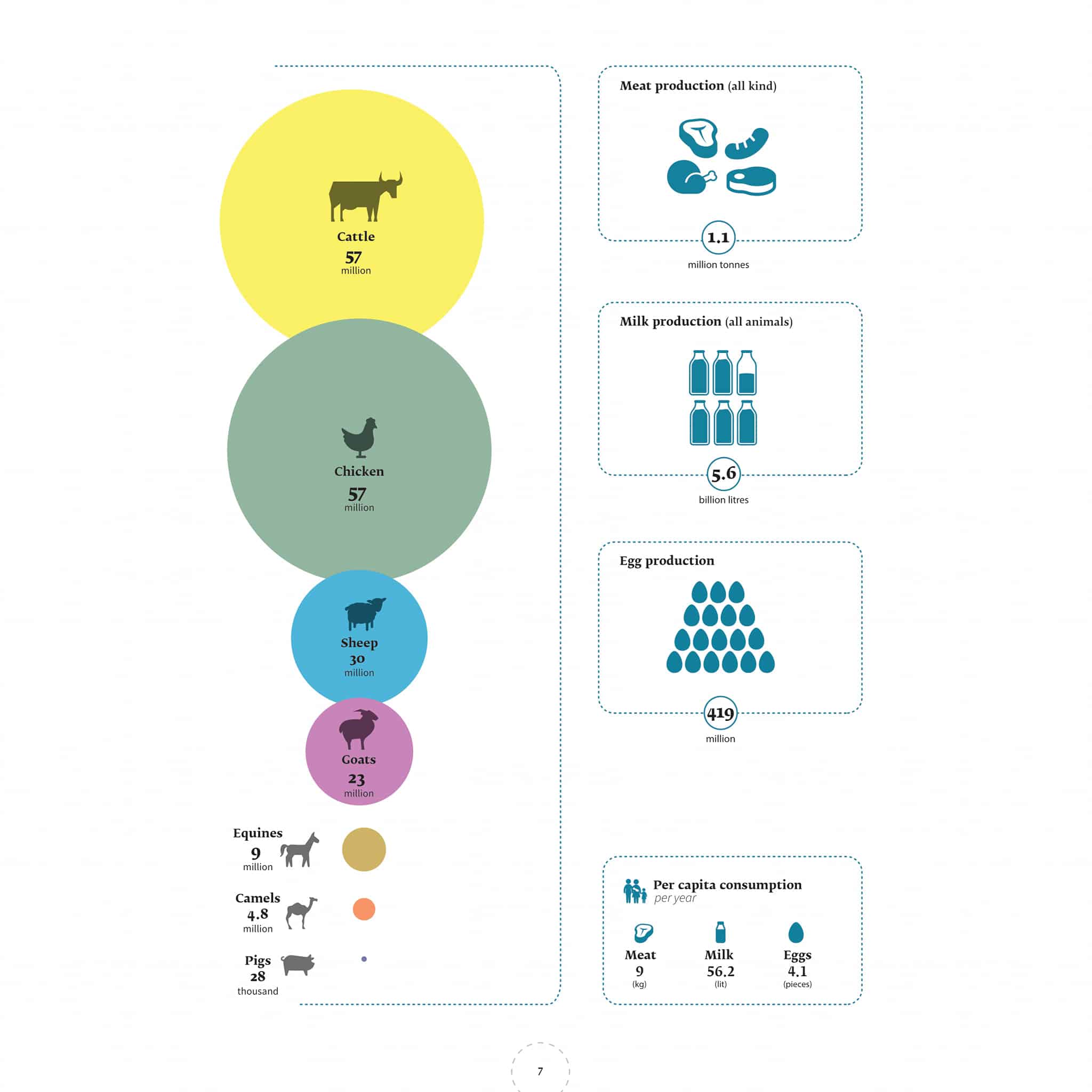 عدد رؤوس الماشية في إثيوبيا يتخطى 100 مليون رأس كما أعلن وزير الري المصري