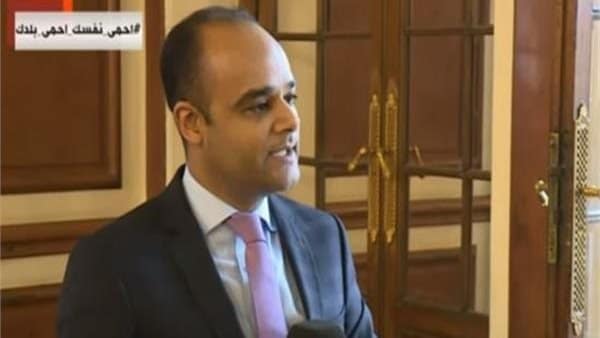 السفير نادر سعد المتحدث باسم مجلس الوزراء يتحدث عن المخزون الاستراتيجي عند وصول الرئيس السيسي في 2014