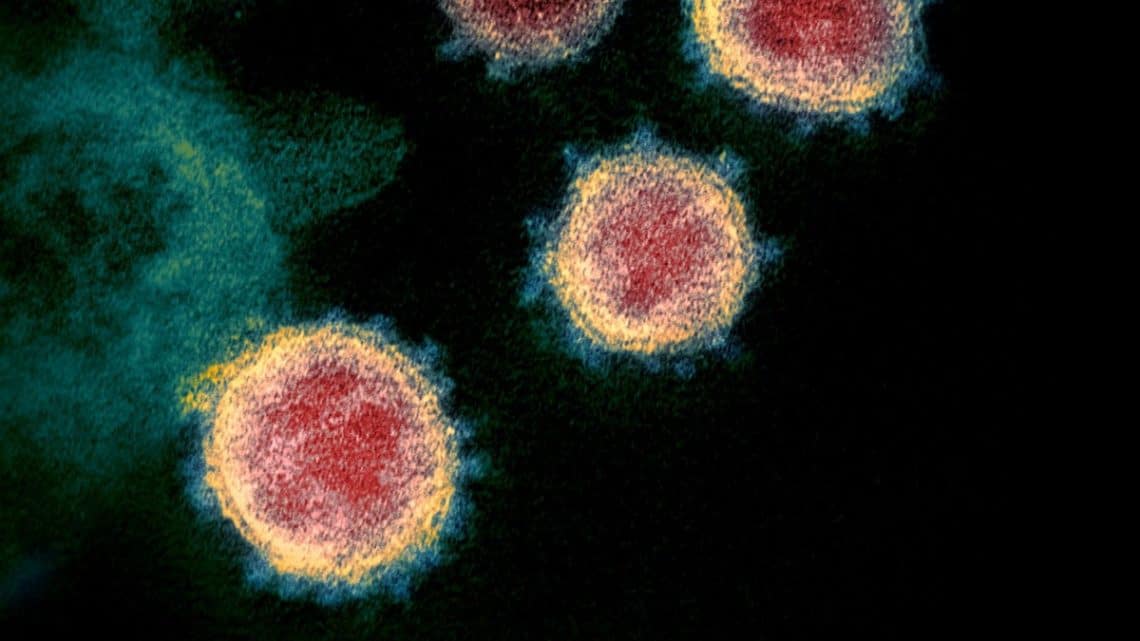  منظمة الصحة العالمية تراقب باهتمام متحورا جديدا يُدعى "مو"