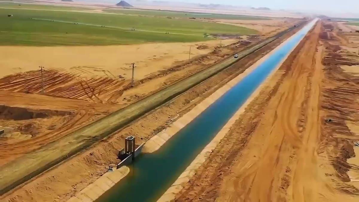 إجمالي المشروعات الزراعية الجديدة تبلغ 3 ملايين و385 ألف فدان فقط