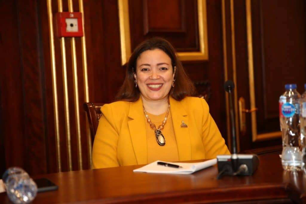 وكيلة لجنة الشؤون الخارجية بمجلس الشيوخ تعلن أرقام غير دقيقة عن عدد العاملين بالقطاع الخاص