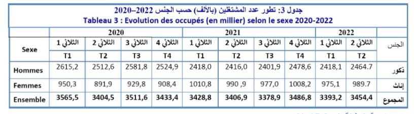 عدد المشتغلين حسب الجنس