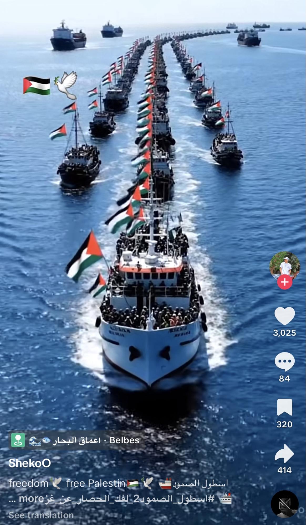 الفيديو الثالث 