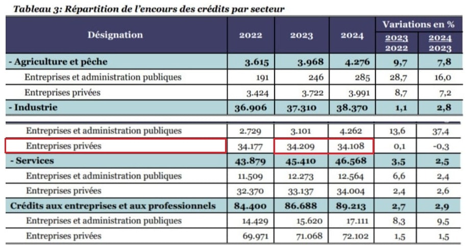 تطوّر قائم القروض الموجهة للمهنيين بين 2022 و2024 