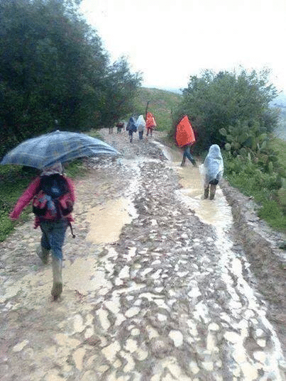 الصورة الثانية المتداولة