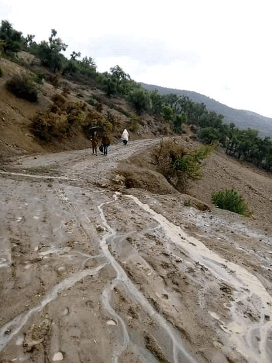 الصورة الثالثة المتداولة