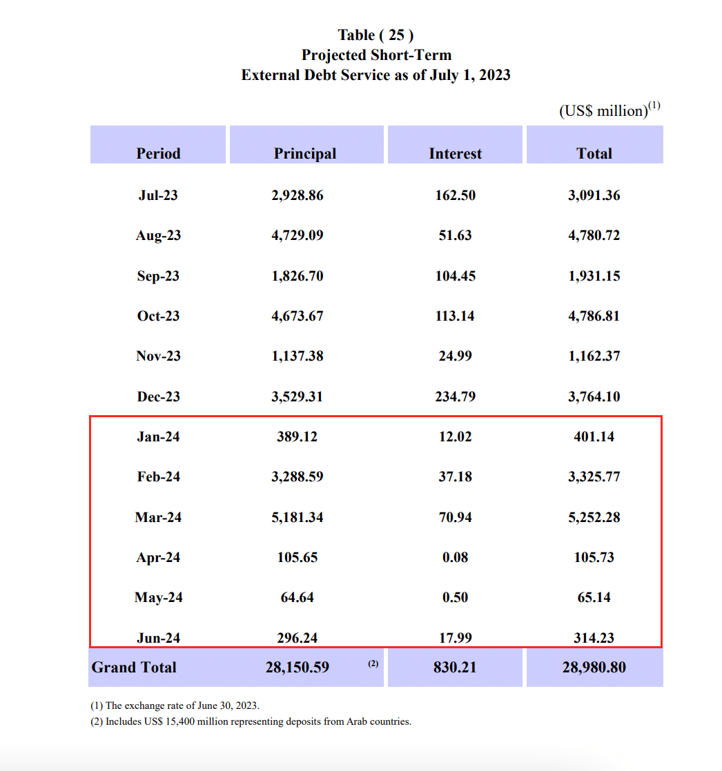 أقساط الديون والفوائد قصيرة الأجل المستحقة في 2024 - البنك المركزي