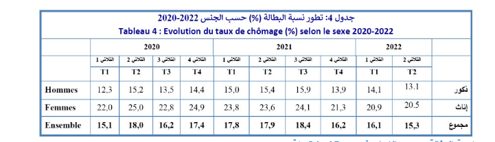 الصفحة 4 من ملف "مؤشر التشغيل والبطالة الثلاثي الأول من سنة 2023"