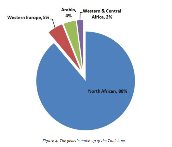 الحمض النووي التونسي بحسب ناشيونال جيوغرافيك