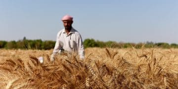 26 أم 33 مليون طنًا.. كم يبلُغ إنتاج أوكرانيا من القمح سنويًا؟