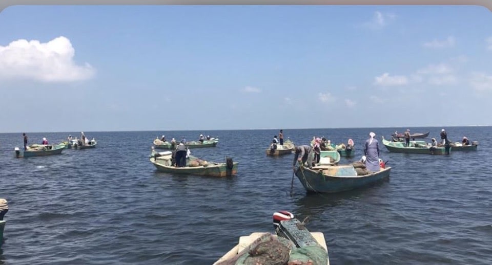 بحيرة المنزلة 