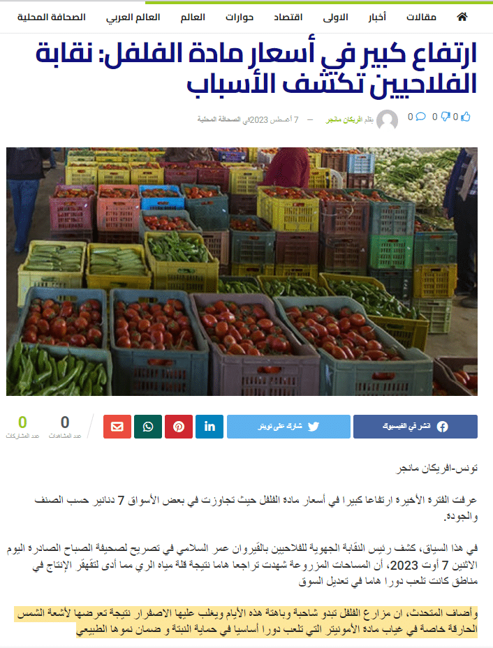 تصريح عمر السلّامي بشأن مادة الامونيتر