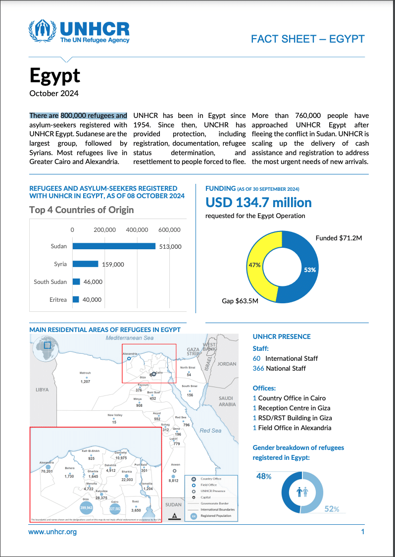 عدد اللاجئين في مصر - الأمم المتحدة