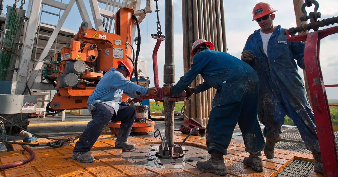 كم فرصة عمل جديدة توفرها الدولة سنويًا؟ 