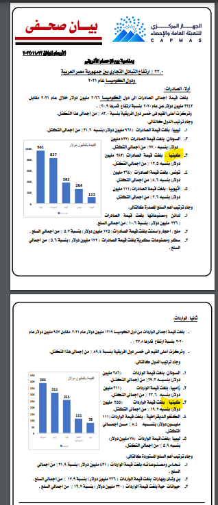بيان الجهاز المركزي للتعبئة العامة والإحصاء