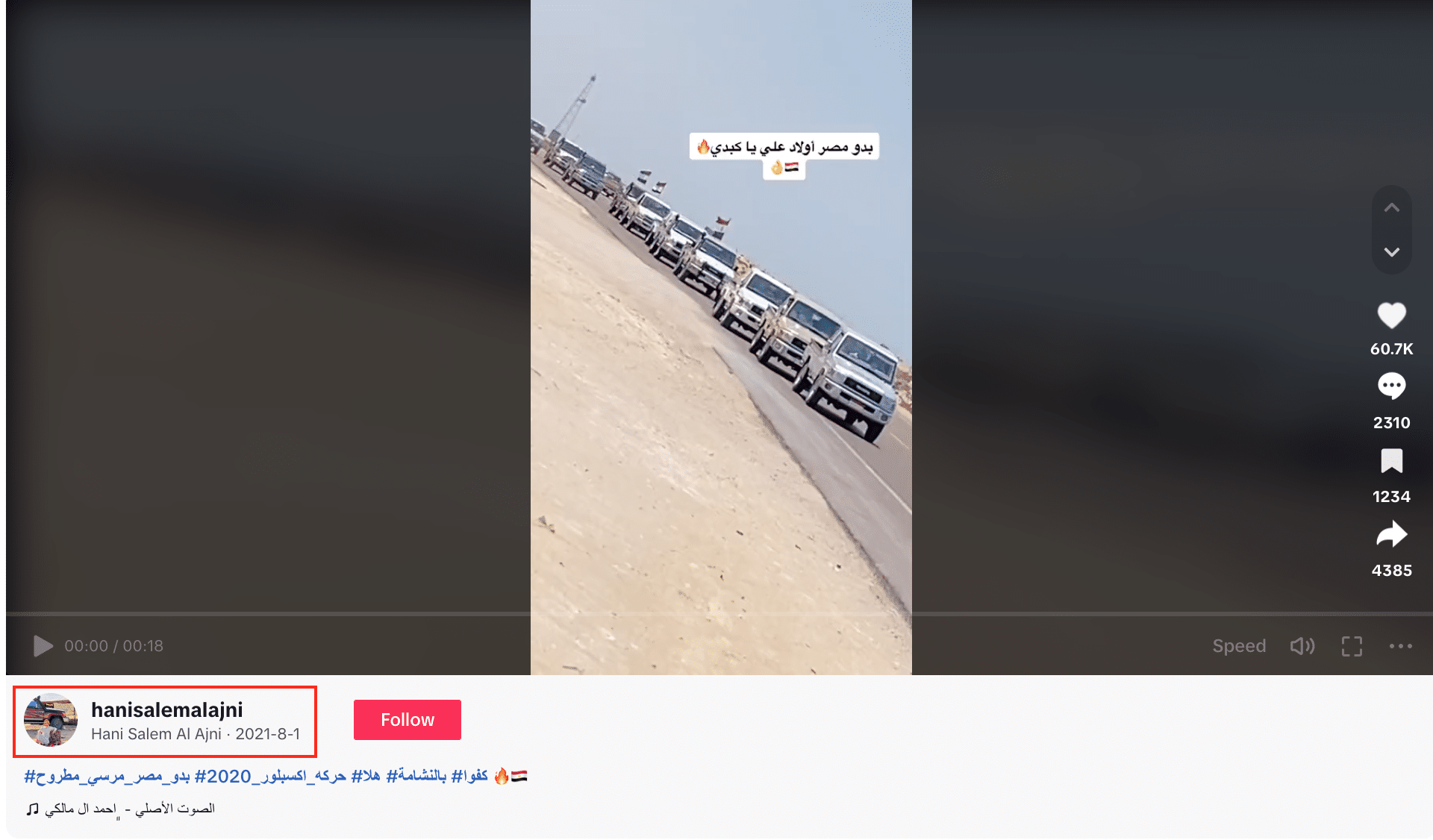 مسيرة لقبائل أولاد علي بمحافظة مطروح 2021