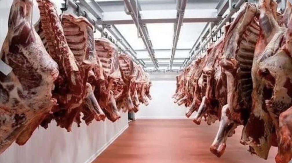 مصر تنتج 60% من استهلاكها المحلي من اللحوم الحمراء 