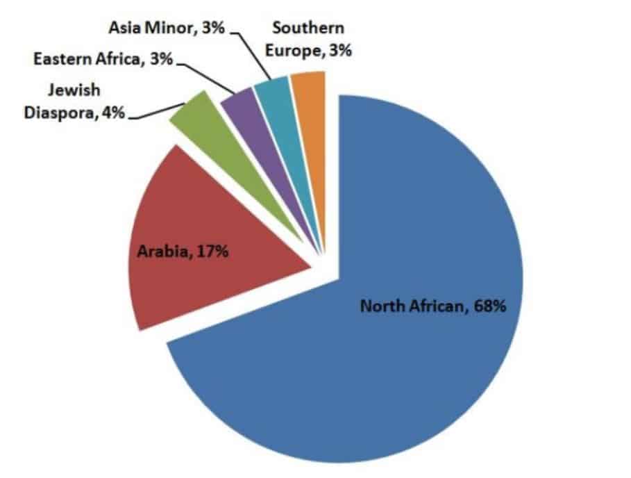 تصنيف الحمض النووي المصري "ناشيونال جيوغرافيك"