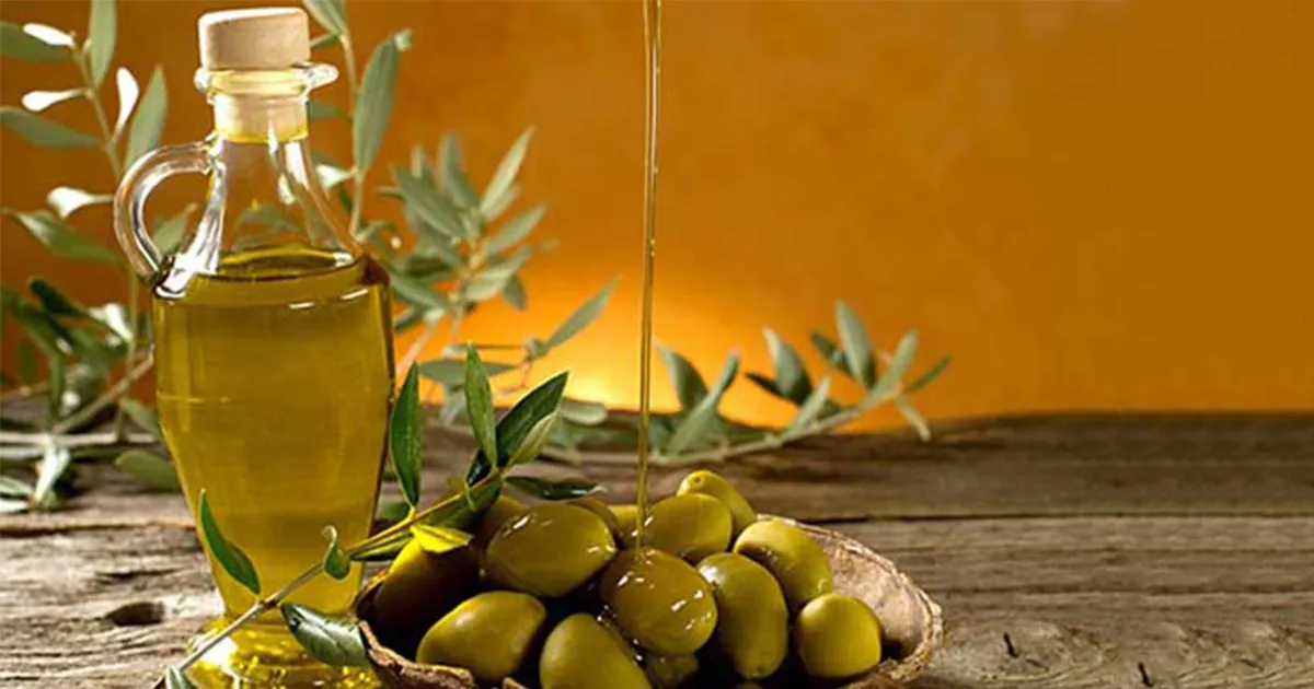 زيت الزيتون لا يحتل المرتبة الثانية في مداخيل تونس.. بل السياحة