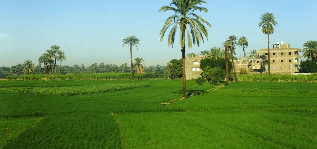 مصر لم تضاعف الحيز العمراني أو الزراعي في العهد الحالي