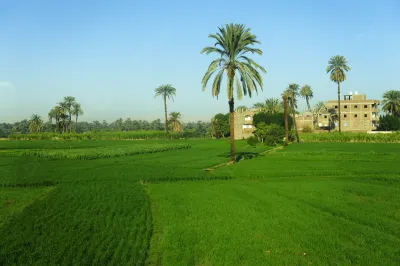 مصر لم تضاعف الحيز العمراني أو الزراعي في العهد الحالي