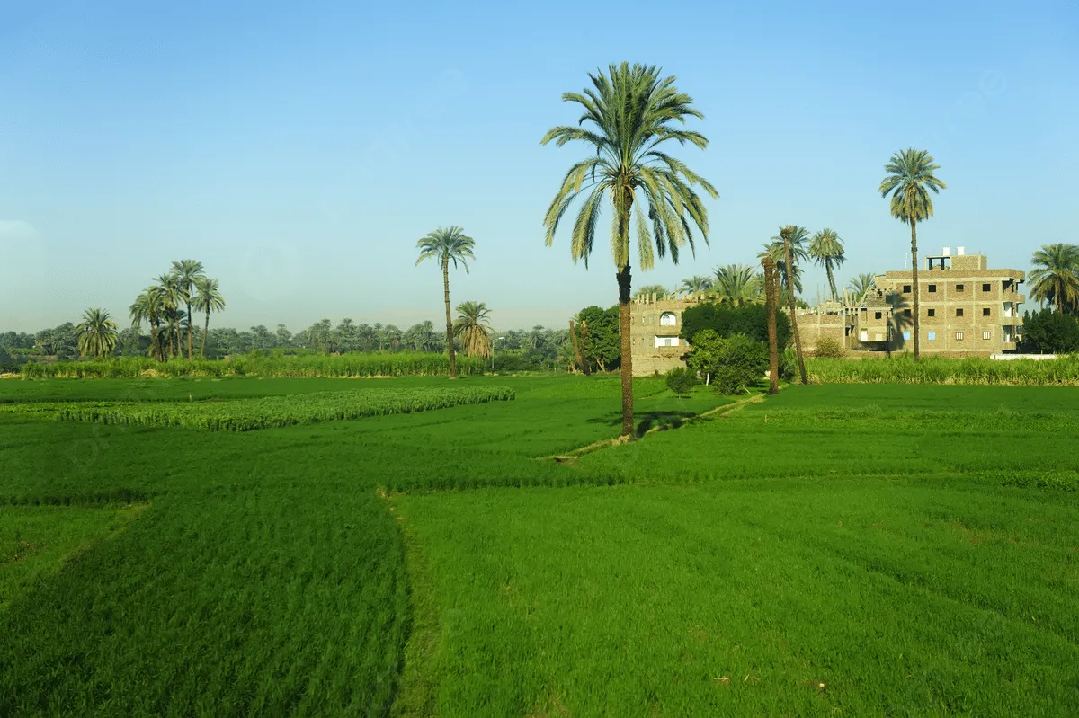 مصر لم تضاعف الحيز العمراني أو الزراعي في العهد الحالي
