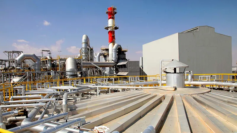 تونس لا تملك 51% والهند لا تمتلك 49% من أسهم 