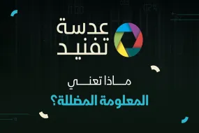 عدسة تفنيد | ماذا تعني المعلومة المضللة؟