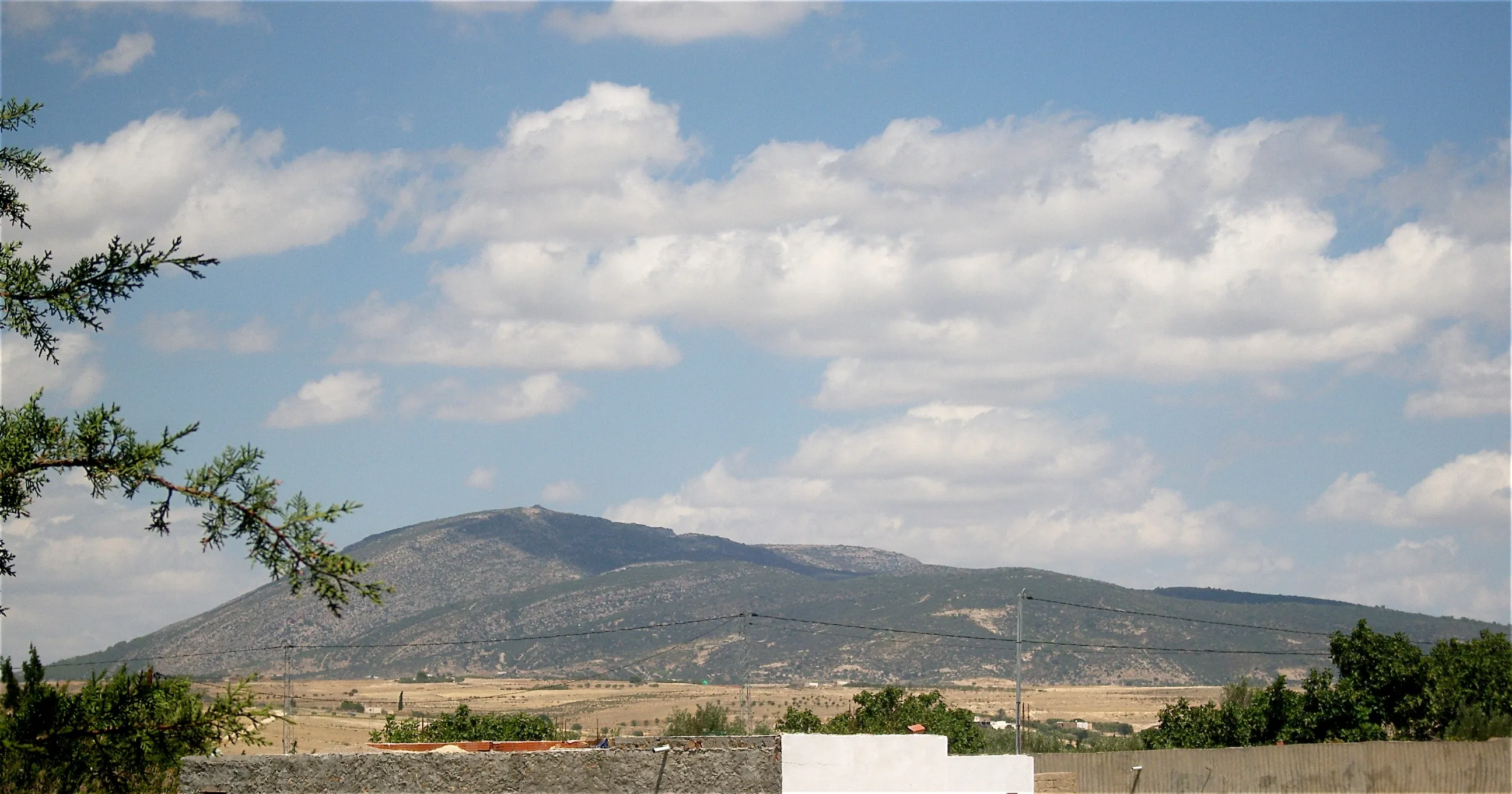 الصورة المتداولة لحريق جبل برقو بتونس 