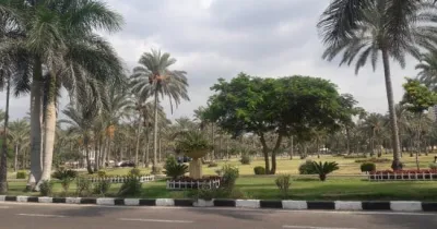 4% أم 6%.. لماذا تضاربت تصريحات وزير الري حول نسبة الأراضي الخضراء في مصر