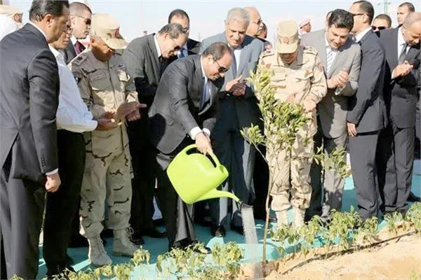 الأراضي الزراعية.. بين وعود التنمية وسياسات العطش والتبوير