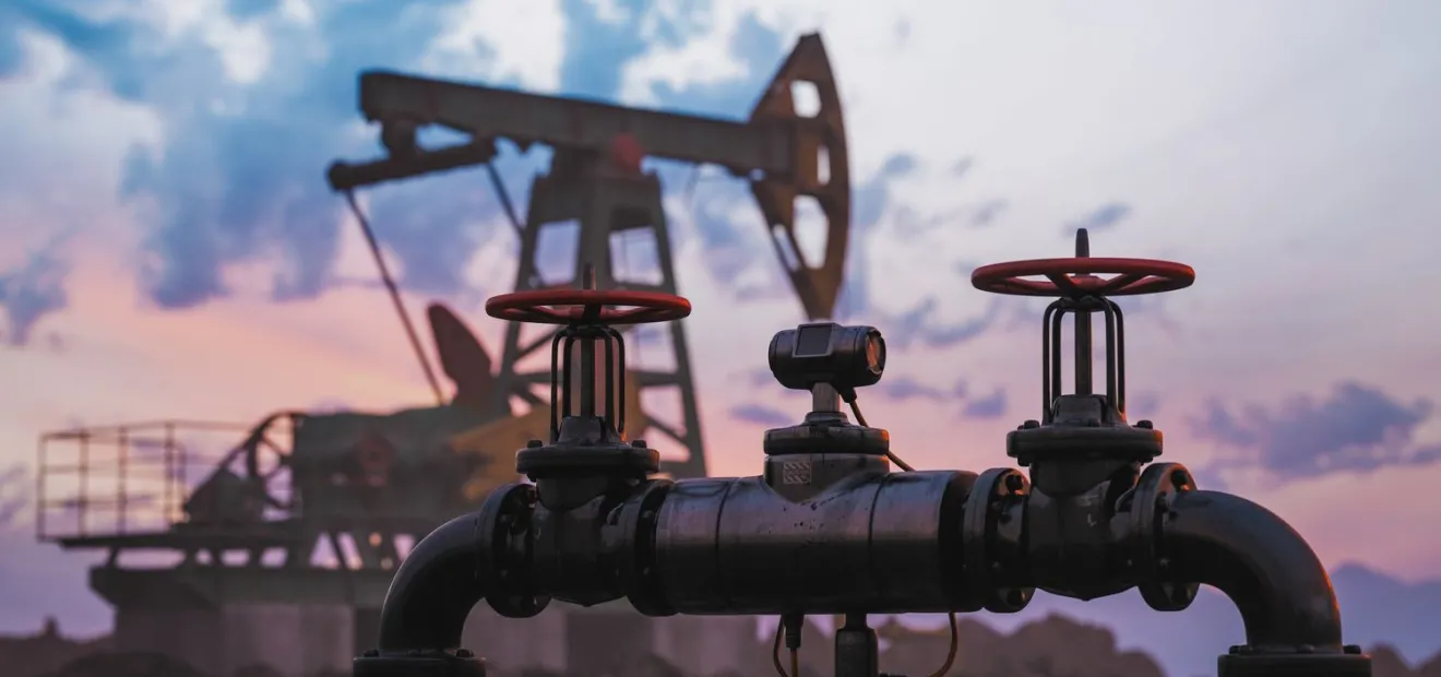 الادعاء بأن الدول الخليجية تبيع الوقود لمواطنيها أرخص من المغتربين 