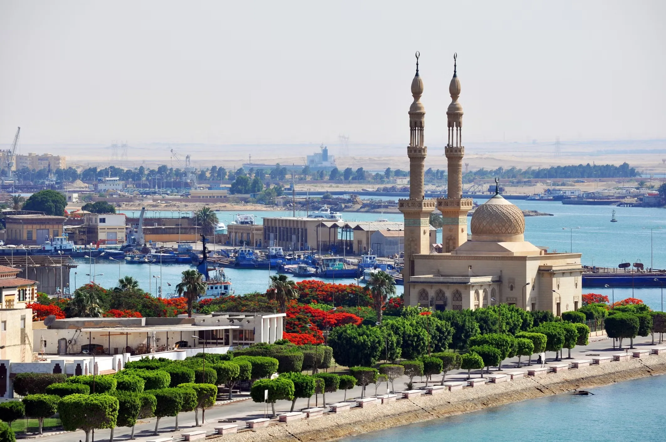 عالِم الزلازل الهولندي الشهير لم يُحذر من تعرض مصر لزلزال آخر خلال 3 أيام