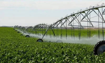 المساحة المنزرعة في مصر 10 ملايين فدان وليس 14 مليونًا