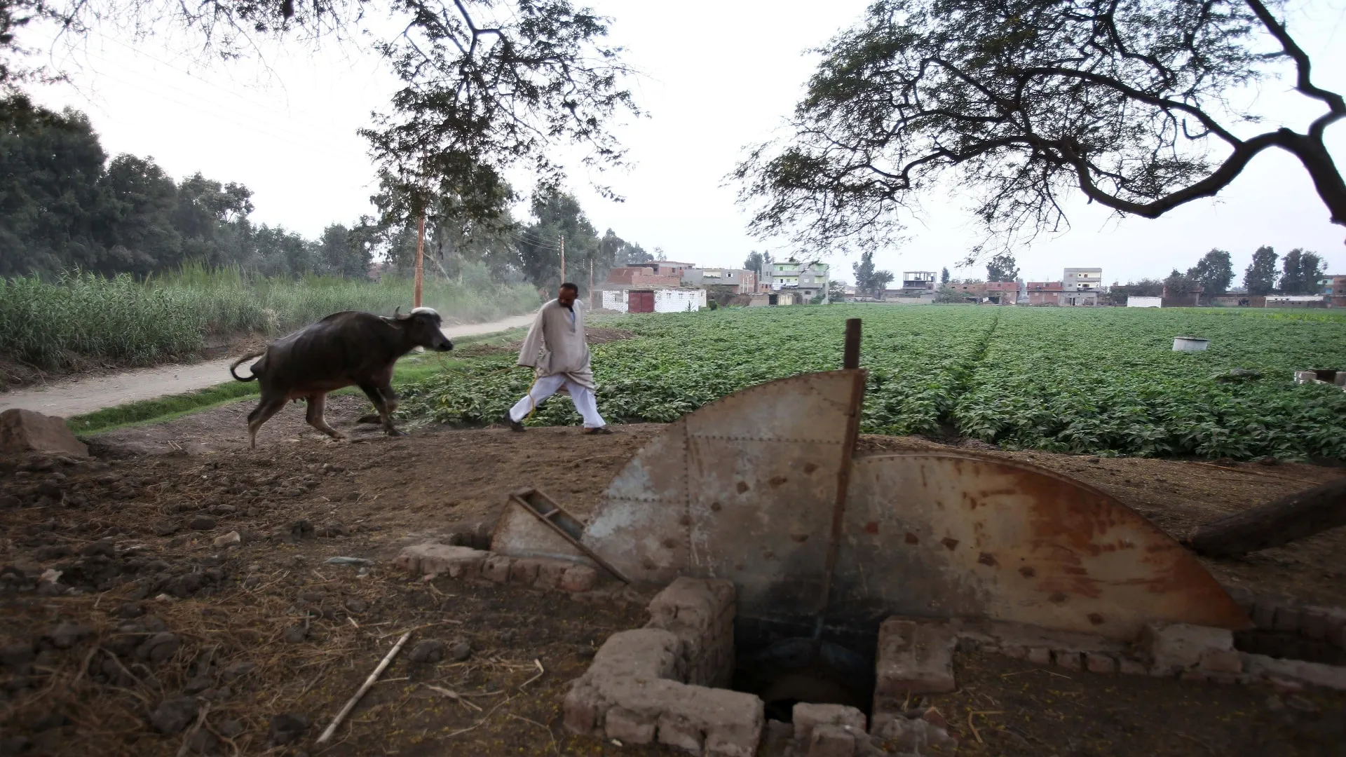 مصر لم تمتلك  7.5 مليون فدان عام 1952