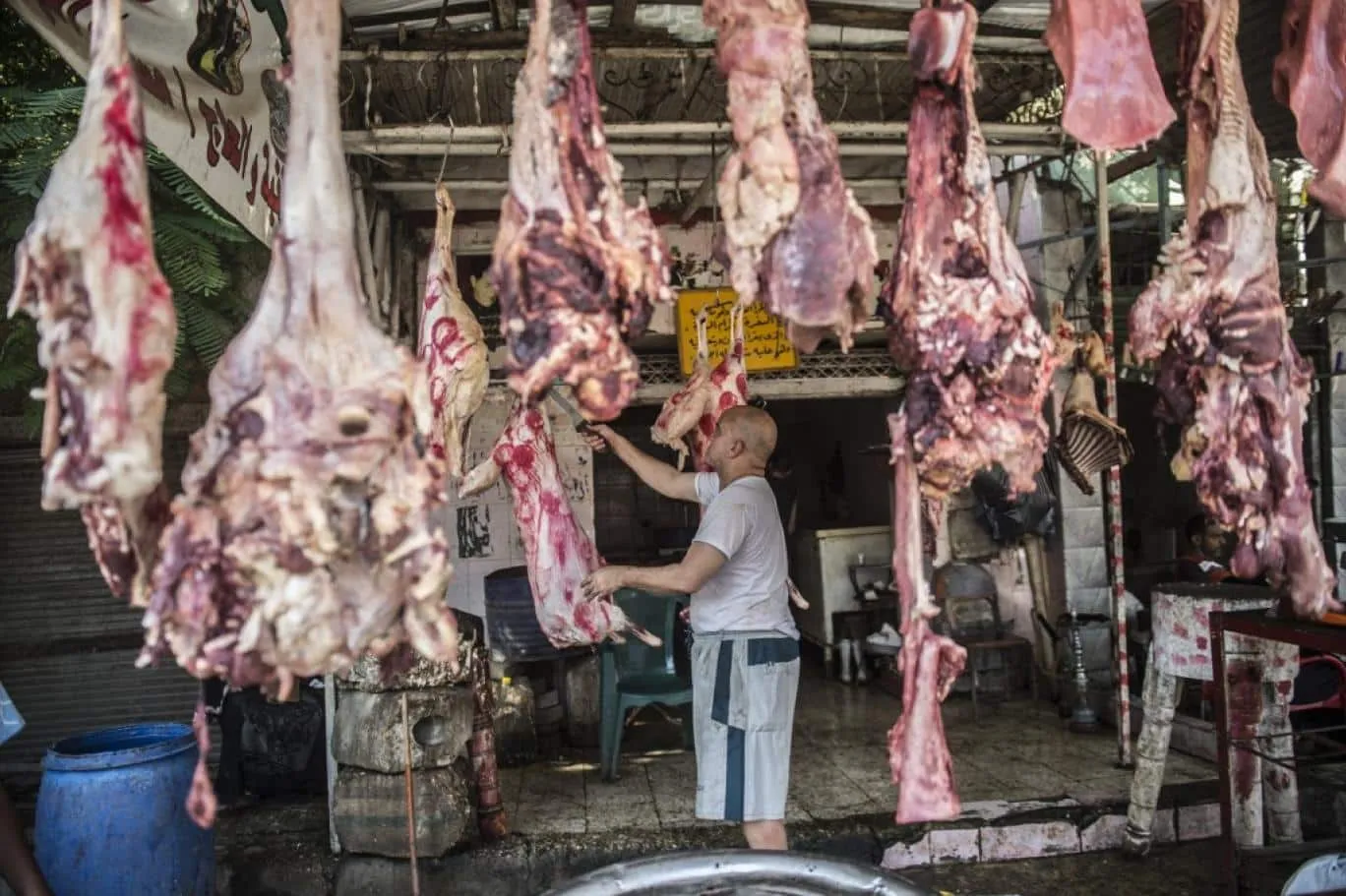 نصيب المصري من اللحوم الحمراء في 2019 كان 7.2 كيلو وليس 4.8 كيلو فقط