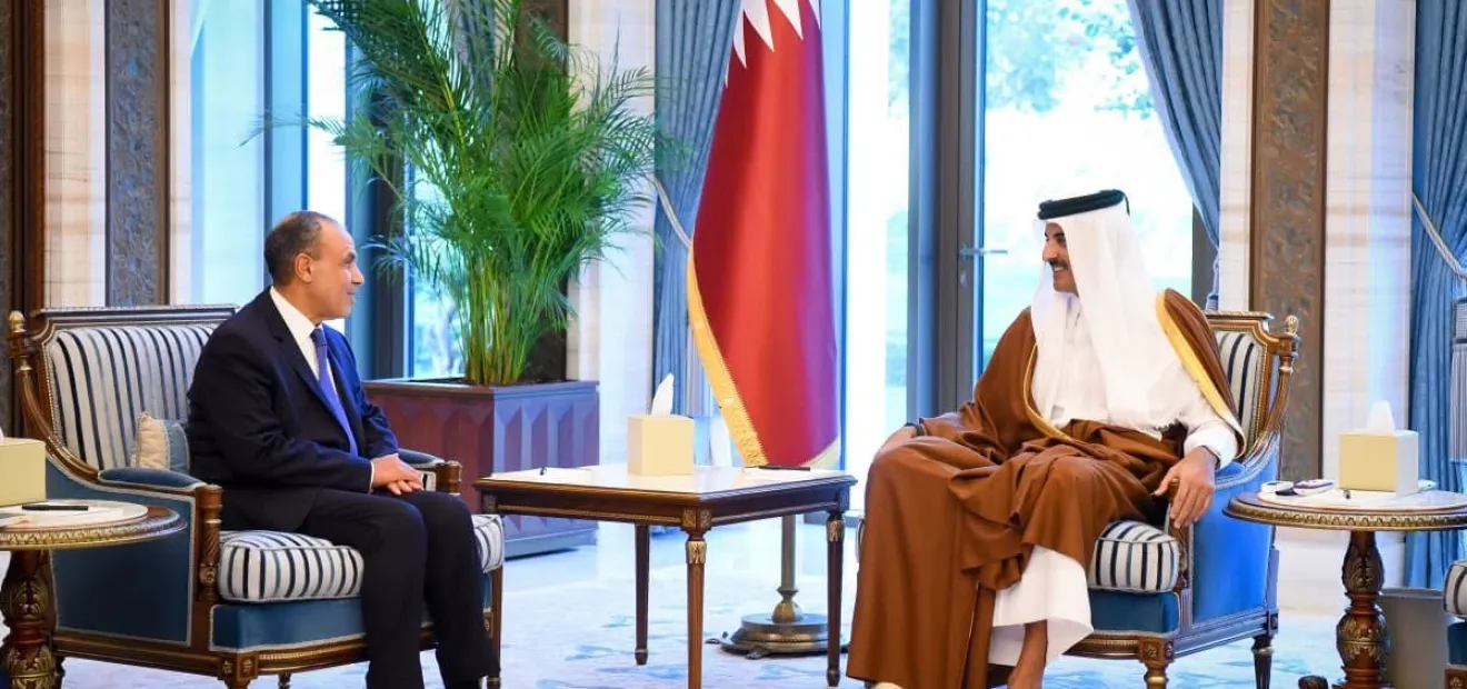 وزير الخارجية المصري لم يطلب دعم الخليج لحل أزمة الديون