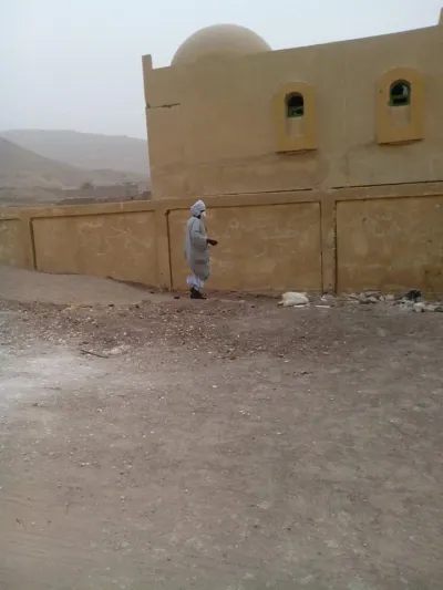 بين التأكيد ونفي.. تصريحات متضاربة بين مسؤولي الصحة حول وقوع وفيات ناتجة عن لدغ العقارب بأسوان؟