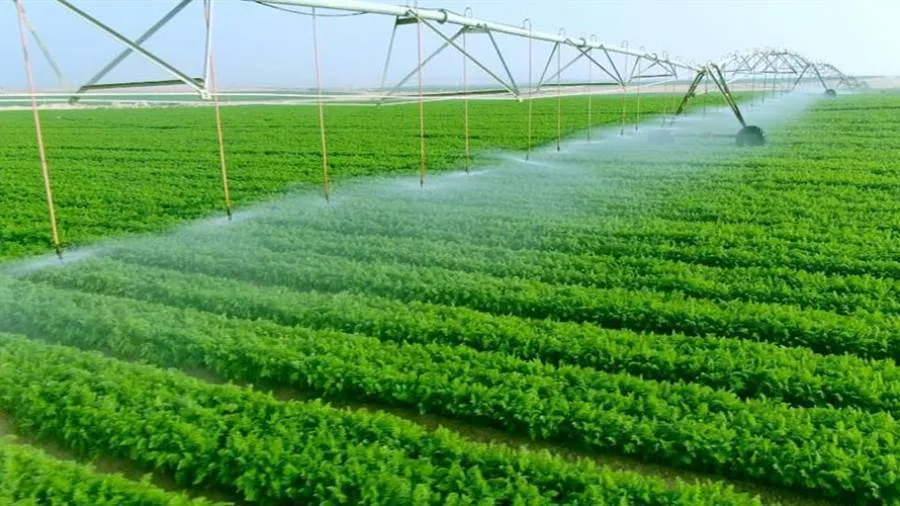 وزير الزراعة المصري لم يعلن استصلاح 3.5 ملايين فدان خلال الـ3 سنوات الأخيرة