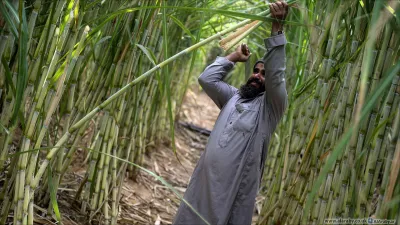 تصريح وزير التموين حول الاكتفاء الذاتي من السكر.. يهدف للإثارة