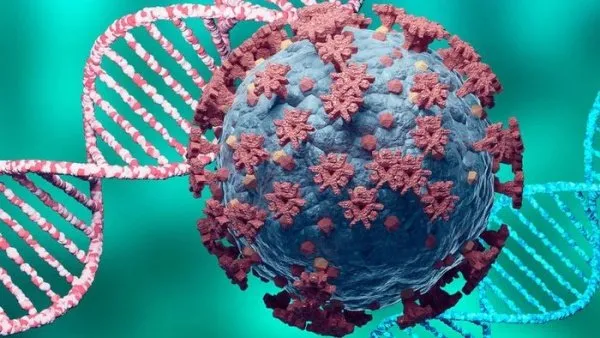 تصريح لوزيرة الصحة يكشف 3 تصريحات حكومية مُضللة حول متحور ”دلتا بلس“.. كيف ذلك