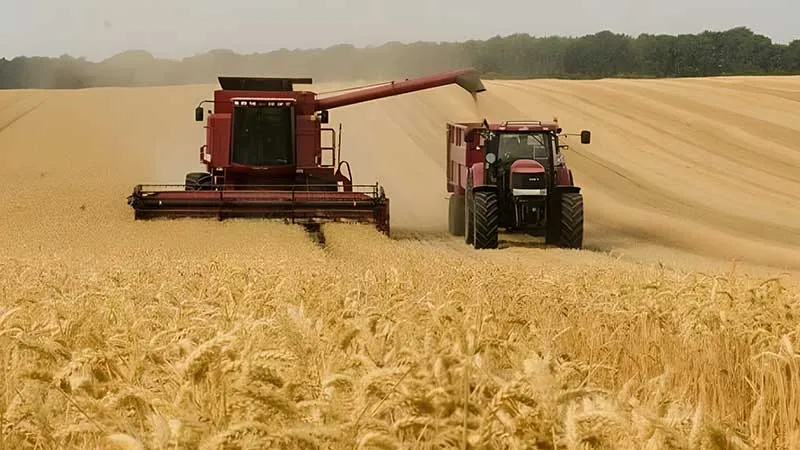 قطاع الحبوب ليس الأكثر تكلفة بالعملة الصعبة على تونس.. بل الطاقة