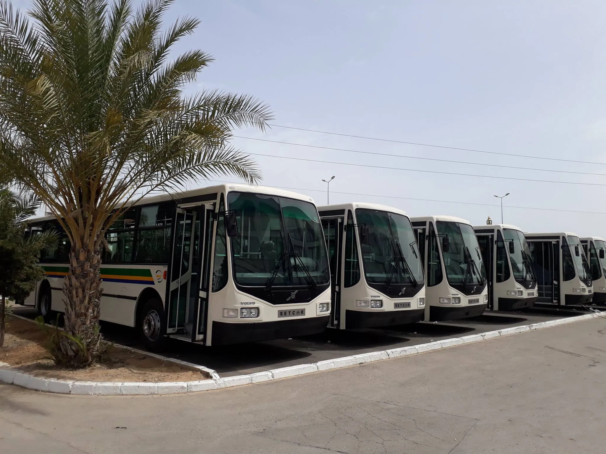 هل حقًا أسطول حافلات 