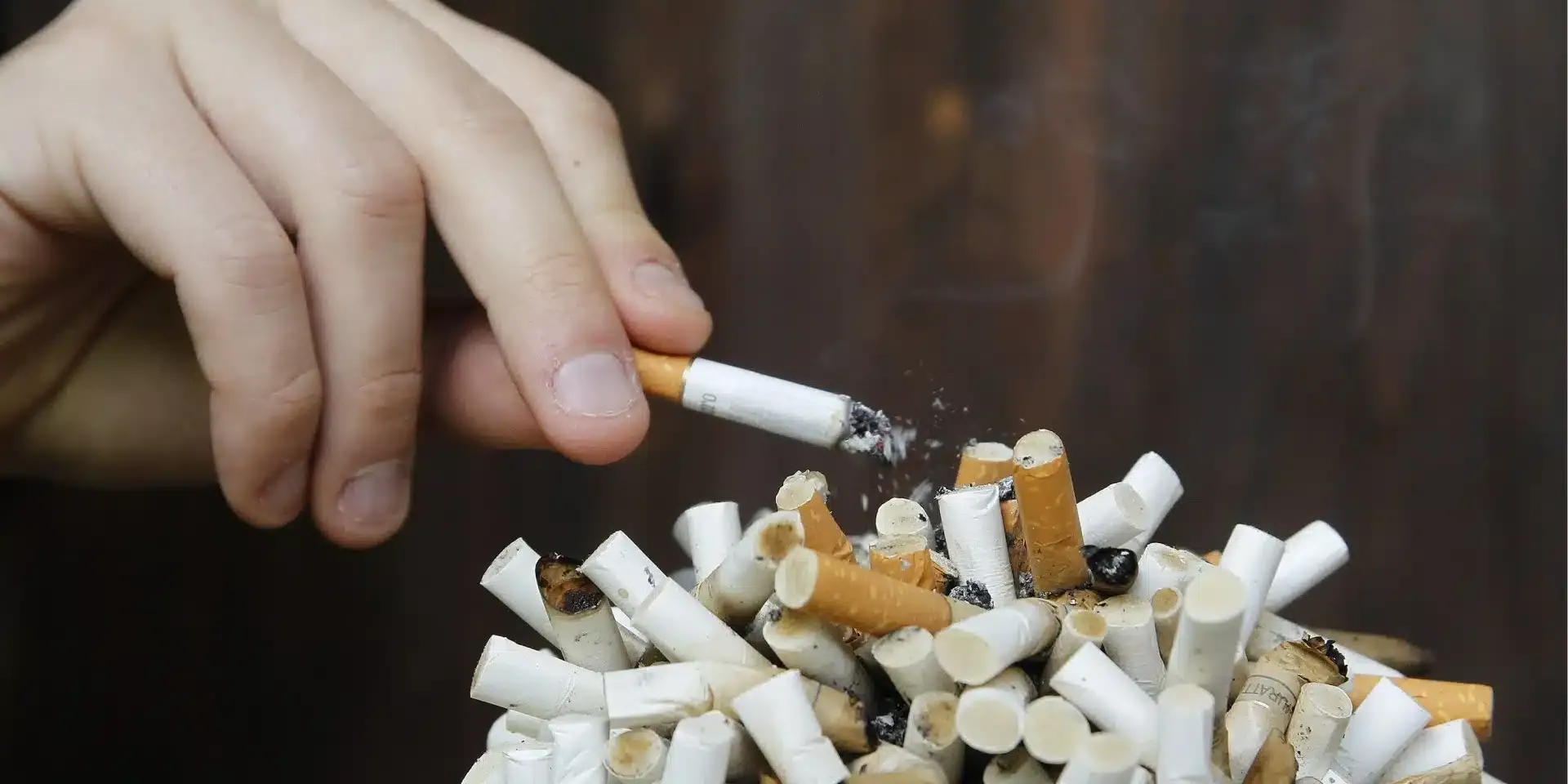 تونس ليست الأولى عربيًا في 